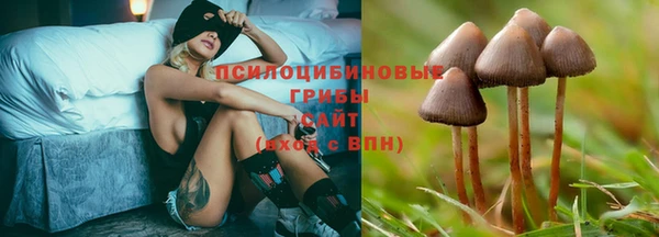 СК Баксан