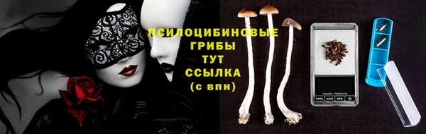 соль ск Балахна