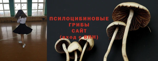 соль ск Балахна