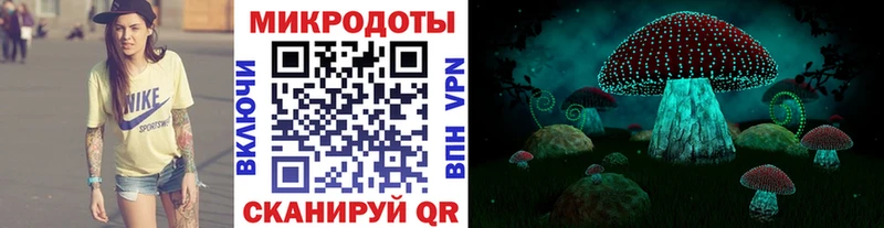 Псилоцибиновые грибы мухоморы  цена наркотик  Усть-Джегута 
